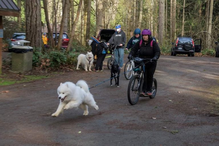 Strength, stamina, and speed in one small package!