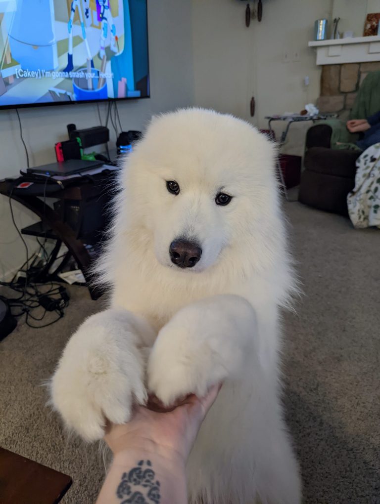 A soft, sweet, people-focused personality.