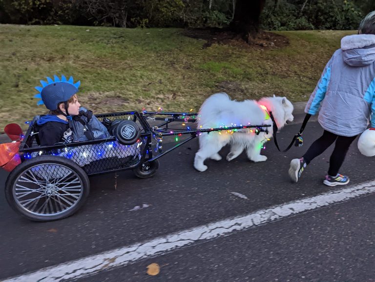 Hauling his kids in a cart.