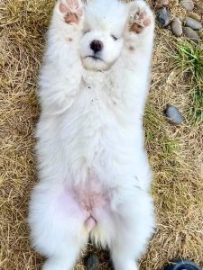 370585895_10161562307350450_366947163087426738_n