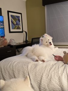 Enjoying the hotel room