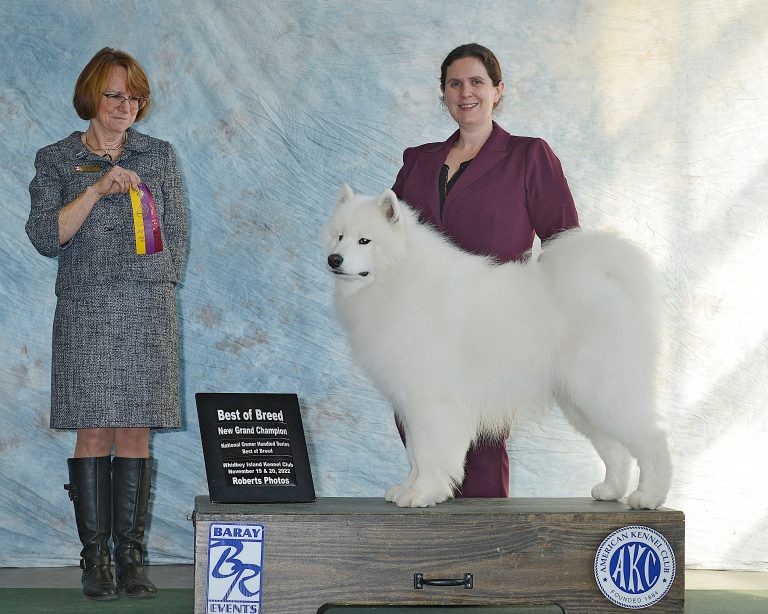 Nimbus's grand championship win.