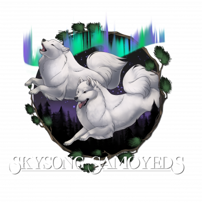 AJ_SS_Final_WhiteFont_300DPI_PNG Skysong Logo
